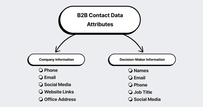 B2B_contact_data_attributes