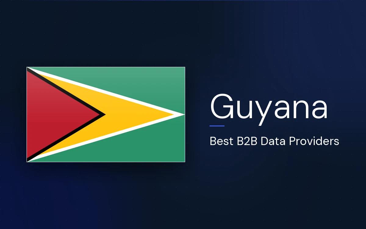 6 Best B2B Data Providers in Guyana in 2026
