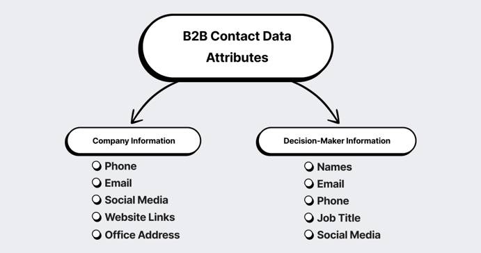 B2B contact data Attributes