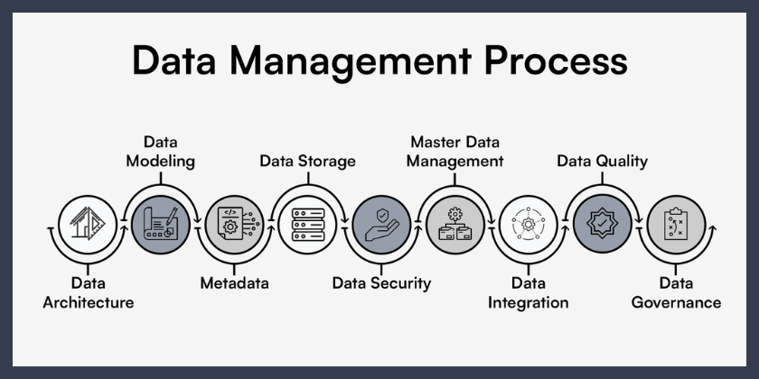 Data Management Process